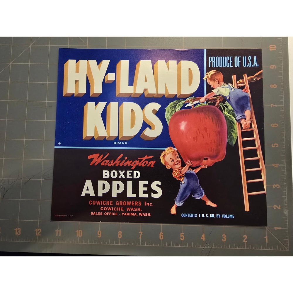 Vintage Hy Land Kids Washington Boxed Apples Produce Crate Label Art